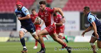 The new Welsh rugby signing who enjoyed a superb debut right in front of Pivac