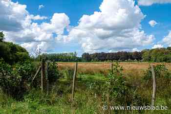 Politie zoekt naar man met bivakmuts die jongen (10) wilde kidnappen