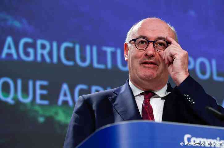 Irish PM, Deputy PM ask EU Trade Commissioner Hogan to consider his position
