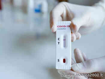 Personale della scuola: test sierologico volontario anche a Modena - Modena 2000