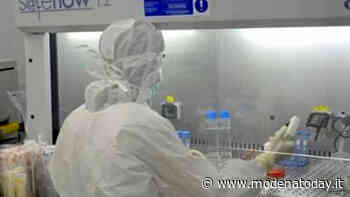 Contagio: 7 nuovi casi a Modena, Mirandola e Pavullo - ModenaToday