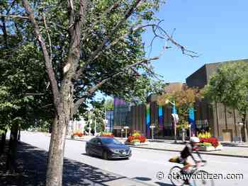 Dead and dying trees to be felled on Confederation Boulevard and in urban parks, NCC says