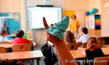 Children over 12 should wear face masks to combat Covid, says WHO