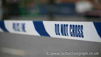 Serial killer could be responsible for pensioner murders, leaked report claims