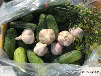 Farmer's Market – August 1 & 2 - Wawa-news.com