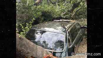 'Knight Rider's' Rebecca Holden and Record Producer Husband Joel  Diamond's Car Destroyed by Oak Tree