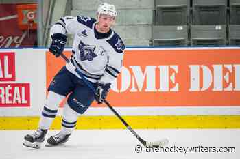 Ottawa Senators' 3rd and 5th Are Best, but 1st Overall Would Be Good, Too - The Hockey Writers
