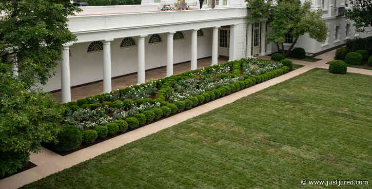 Melania Trump Renovated the White House's Rose Garden & These Photos Reveal the New Look