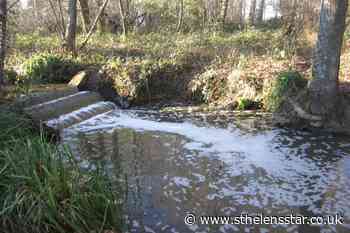 College fined £50000 for polluting stream with slurry - St Helens Star