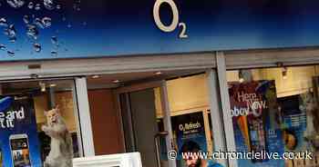 Retail jobs up for grabs in the North East right now