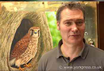 Mother of all battles inspires kestrel painting by Robert Fuller