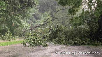 Storm Downs Trees At Cedar Creek Park In Rostraver