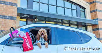 Petco’s Director of Marketing on Keeping Up With Pandemic Adoptions