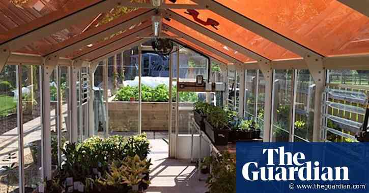 Weatherwatch: solar farms with added food