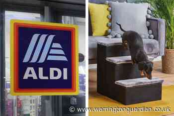 Aldi Specialbuys: Pet stairs and pineapple cat igloos among latest items on sale