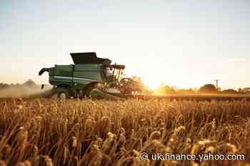 UK's worst wheat harvest in decades prompts flour price hike fears