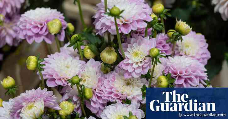 'We're asking for help': rent row grows at New Covent Garden flower market