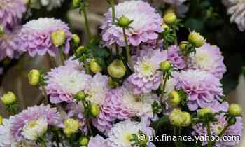 'We're asking for help': rent row grows at New Covent Garden flower market