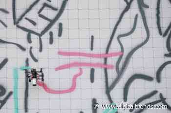 Meet the MIT artist who builds with fungus and paints with swarms of drones