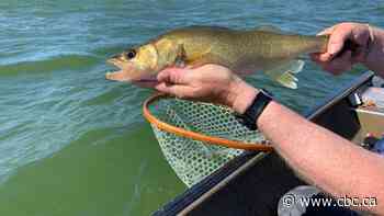 Get reel: Fly Fishing expert shares his favourite spots in the Edmonton area