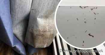 Woman leaves 'filthy' Pontins chalet after just 10 minutes