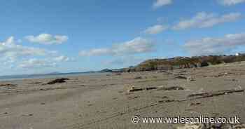 128-tonne delivery for nuclear plant will land on Welsh beach