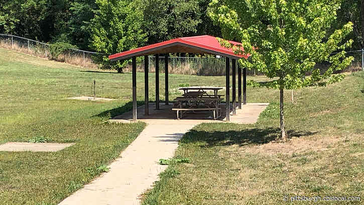 Woman Injured After Attempting To Break Up Dog Fight