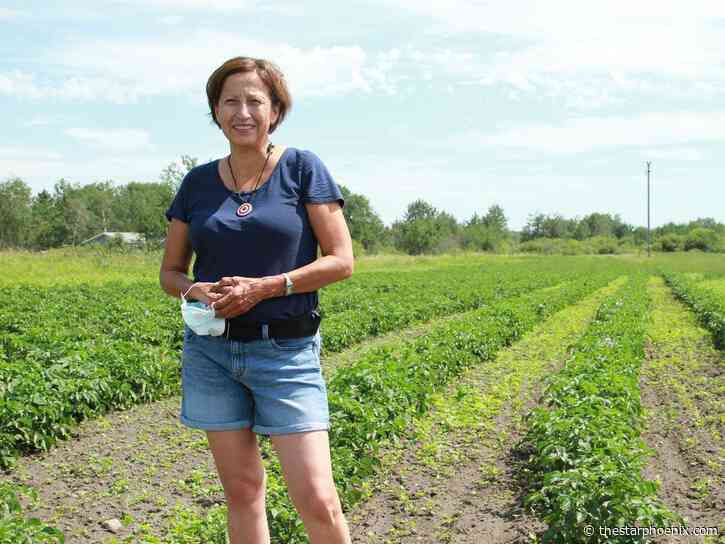 Feeding a village: Community garden project growing for Ahtahkakoop
