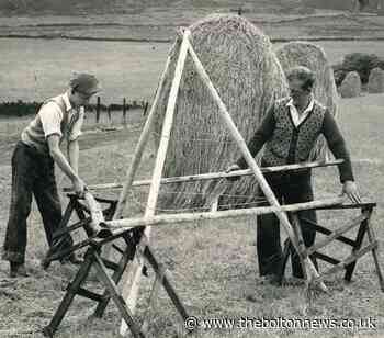 Wet summer meant Bolton farmers had to improvise in 1954