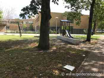 Hond Gino (9) overleeft aanval van pitbulls in Overvecht: 'Als ik er niet tussen was gesprongen, was Gino nu dood’