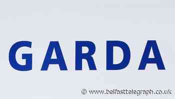 Gardai seize 32 dogs in Swords