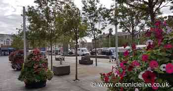 Socially distanced outdoor cinema coming to Blyth