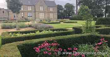 Northumberland 'hidden' garden to open to public for first time in three years