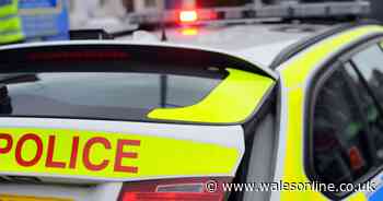 Police tell large gathering of people in Swansea to go home