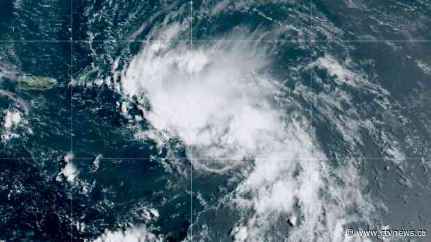Marco becomes hurricane headed for U.S. Gulf Coast