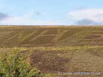 One man (or woman) went to mow...an enormous 'NHS' on a hill