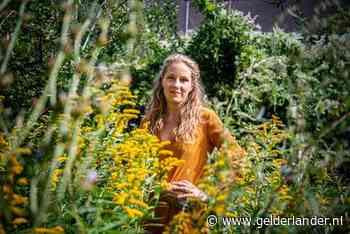 Een uitvaart organiseren kun je heel goed zelf (en het werkt helend)