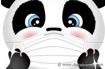 These kids’ 3-ply face masks only cost $0.45 (and they’re in stock)