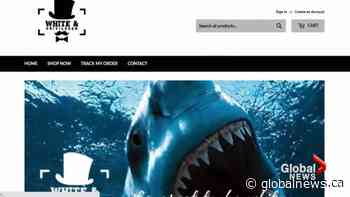 Lethbridge company under fire for 'white privilege' messages | Watch News Videos Online - Globalnews.ca