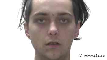 Man sought by police in Lethbridge hit-and-run arrested in 'high-risk incident' - CBC.ca