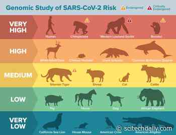 Many Animal Species Vulnerable to SARS-CoV-2 / COVID-19  According to Genomic Analysis