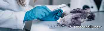 Not Guilty! Forensic Research Proves That Textile Fibers Can Be Transferred Without Contact