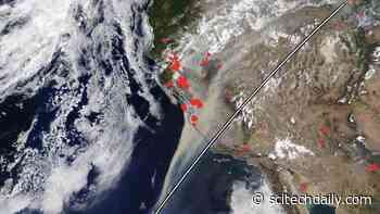 1200+ Mile Trail of Smoke Stretches Across California in These NASA Terra Images of the Wildfires