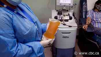 Trump announces plasma treatment authorized for COVID-19