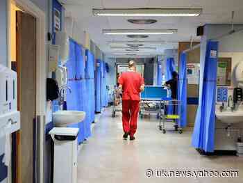 Labour accuses government of imposing ‘stealth tax’ on NHS with immigration fees on specialist staff