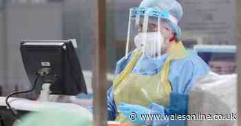 Wales' daily coronavirus deaths and cases update for Sunday, August 23 - Wales Online