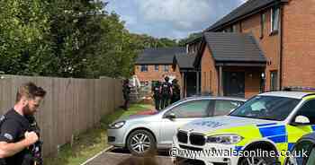 Homes evacuated during armed incident in Dinas Powys - WalesOnline