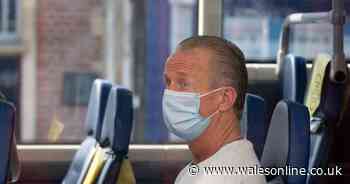 Wales' daily coronavirus deaths and cases update for Saturday, August 22 - Wales Online