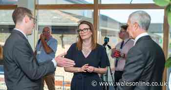 Plaid Cymru call for public enquiry into exams grading 'debacle' in Wales - Wales Online