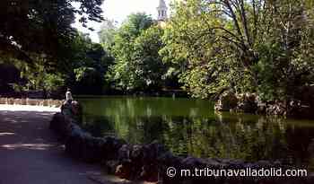 El Campo Grande de Valladolid todavía recuerda la histórica venganza de Tello Arcos - Tribuna Valladolid